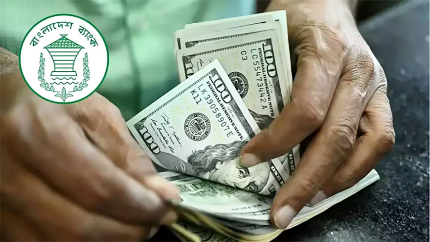 Remittance Inflow Rises 69.2% Through August 9