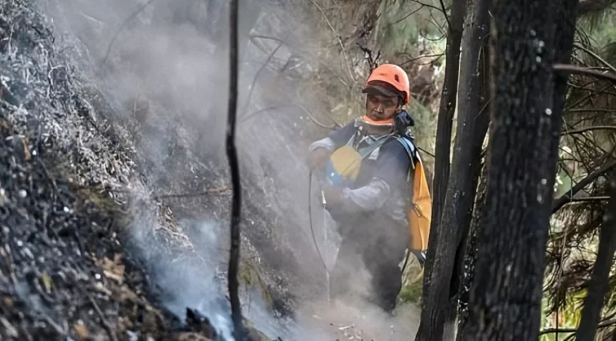 Indonesia Closes Schools as Wildfires Rage
