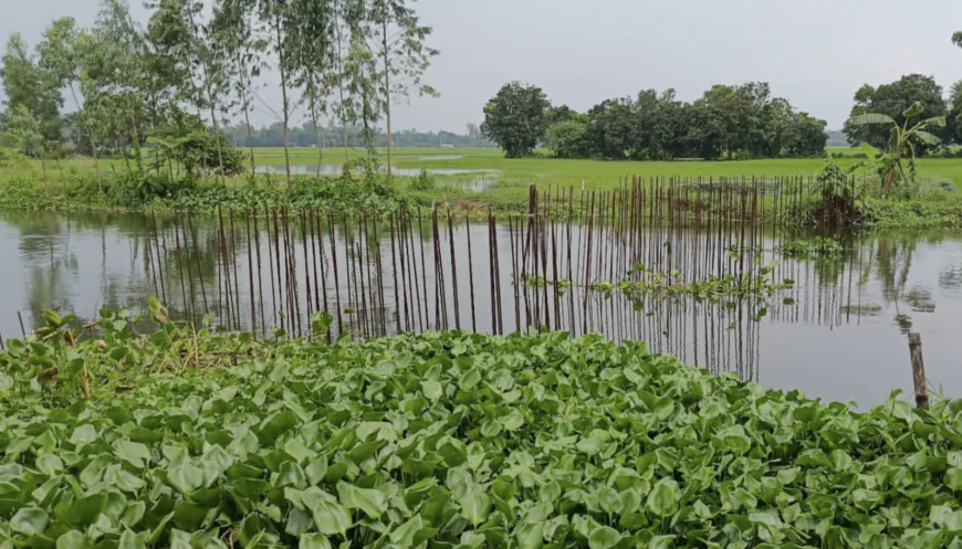 Bridge construction halted in Kalihati   Due to PIO-contractor conflict