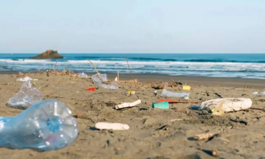 Plastic waste chokes Cox’s Bazar sea beach