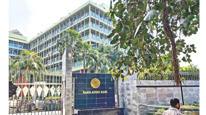 Import rules modernised with digital documentation