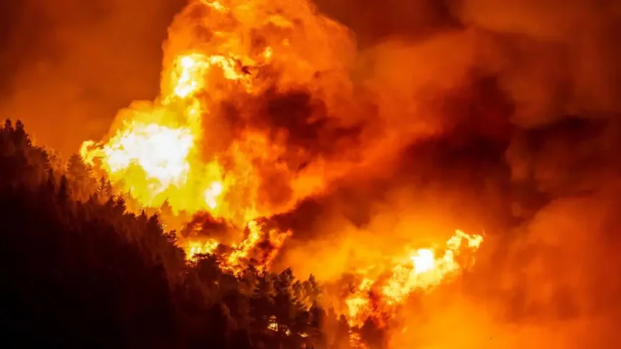 Body found after wildfire strikes Croatian coastal town