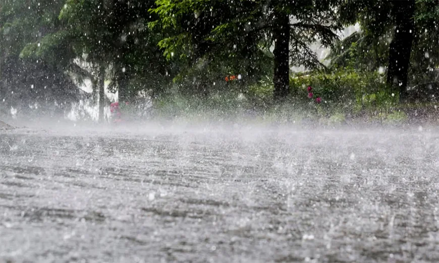 Rain Likely in Several Parts of the Country