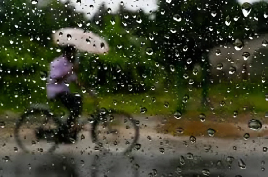 Sri Lanka Braces for ‘Worst’ El Niño, Facing Heavy Rain and Drought