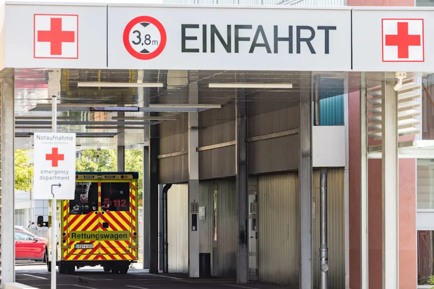 Germany Records 14,000 Heat-Related Deaths This Summer: Govt Data
