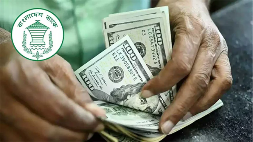 Remittance Inflow Surges 29.1% to $2.03 Billion in 19 Days of August