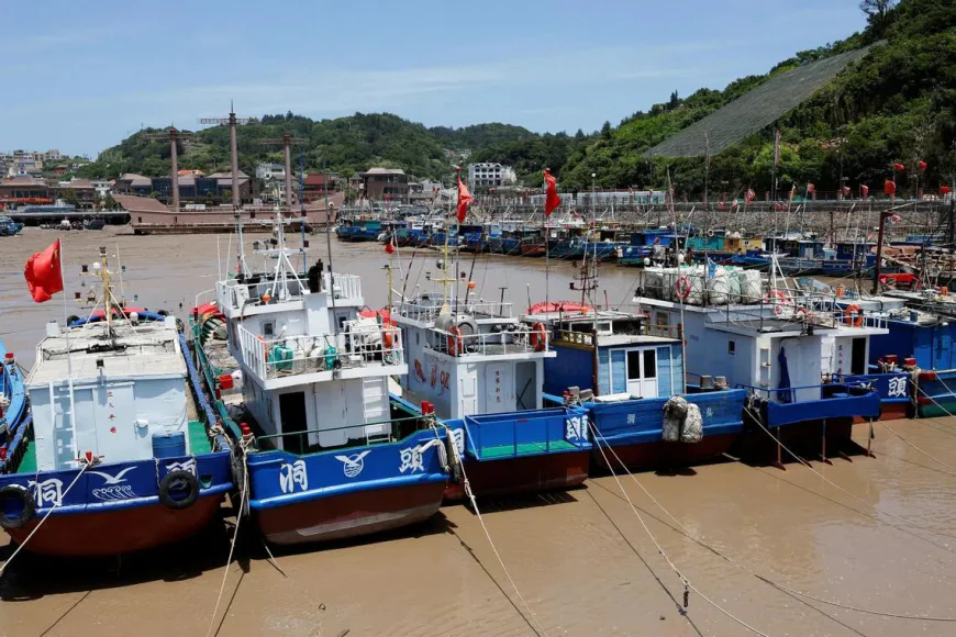 Chinese vessel caught carrying banned shark fins in Pacific Ocean