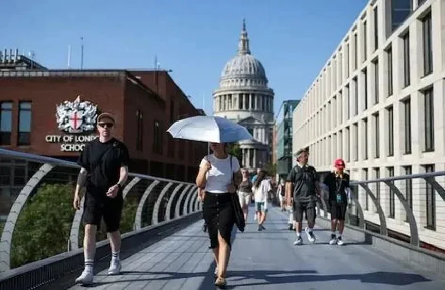 Germany records 15,800 heat related deaths this summer