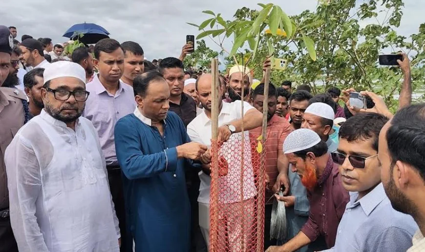Kayser Kamal orders arrest of ‘tree killers’ within 48 hours