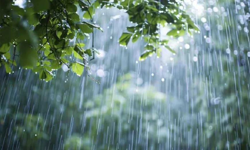 Rain likely in several parts of the country
