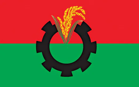 BNP marks 48th founding anniversary with tribute, tree planting