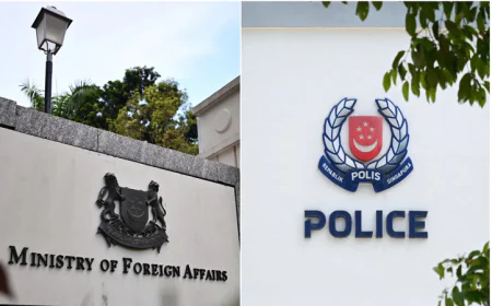 China arrests 52 Singaporeans in pyramid scheme crackdown