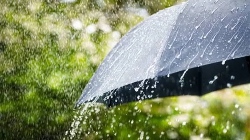 Rain forecast across all divisions