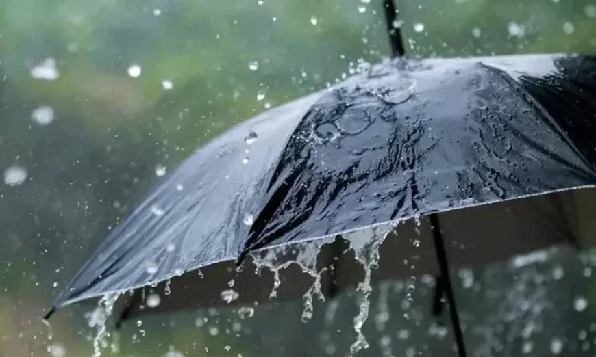Rain forecast in parts of country