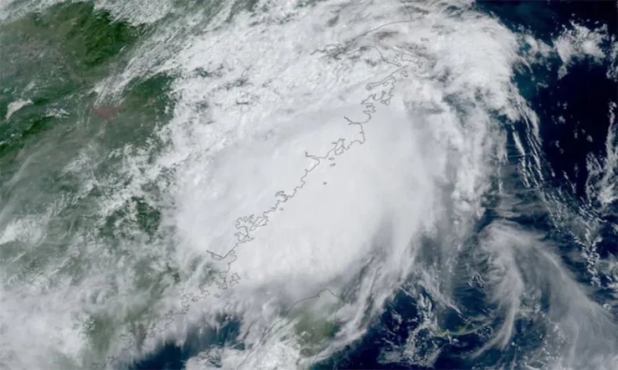 Schools, ferry services suspended as Typhoon Saudel hits eastern China
