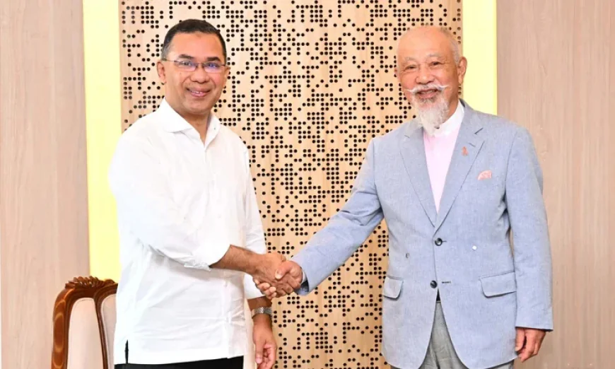 PM seeks Japan’s special envoy’s support for Rohingya repatriation