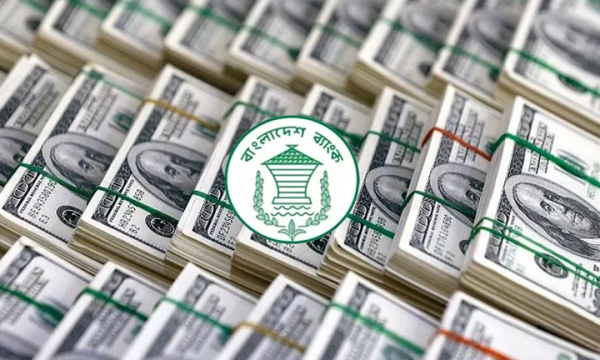 Remittance inflow rises 16.4pc in FY27 so far