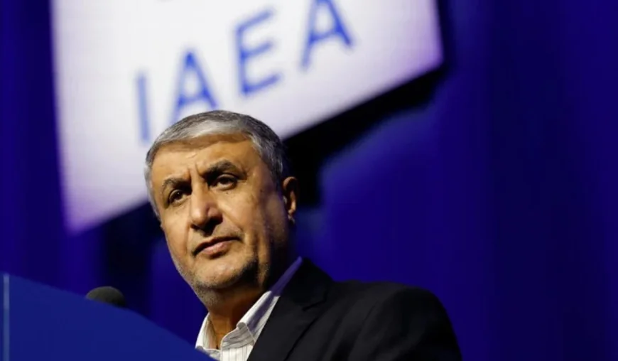 US blocks Iran’s nuclear chief from attending Vienna meeting: state TV