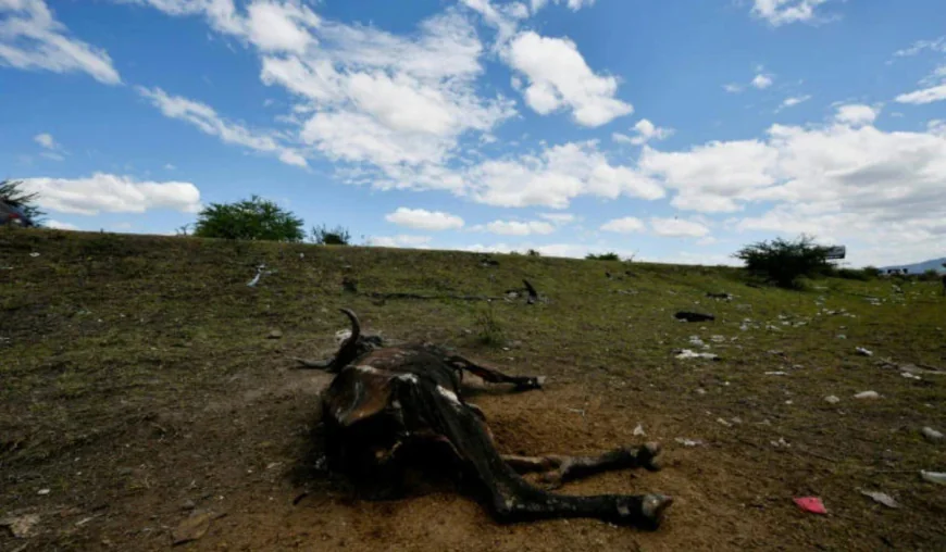 El Nino brings hunger and drought to Central America