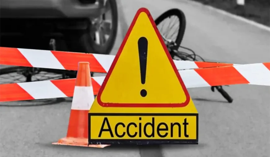 Elderly man with mental disability killed in Gopalganj accident