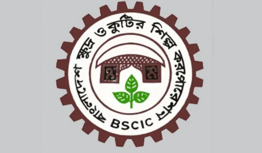 BSCIC adopts strategy to boost high-value products and expand markets