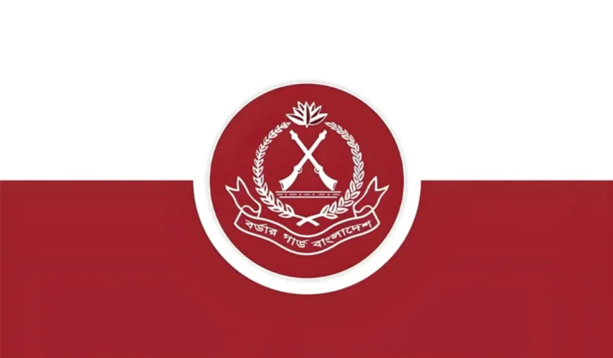 BGB seizes Indian goods worth Tk 81.70 lakh in Chuadanga
