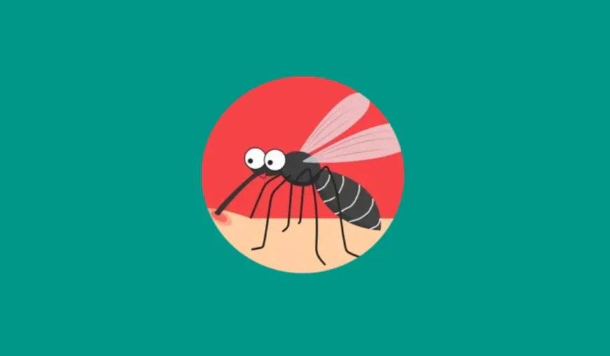 267 more dengue patients admitted to hospitals in Khulna division