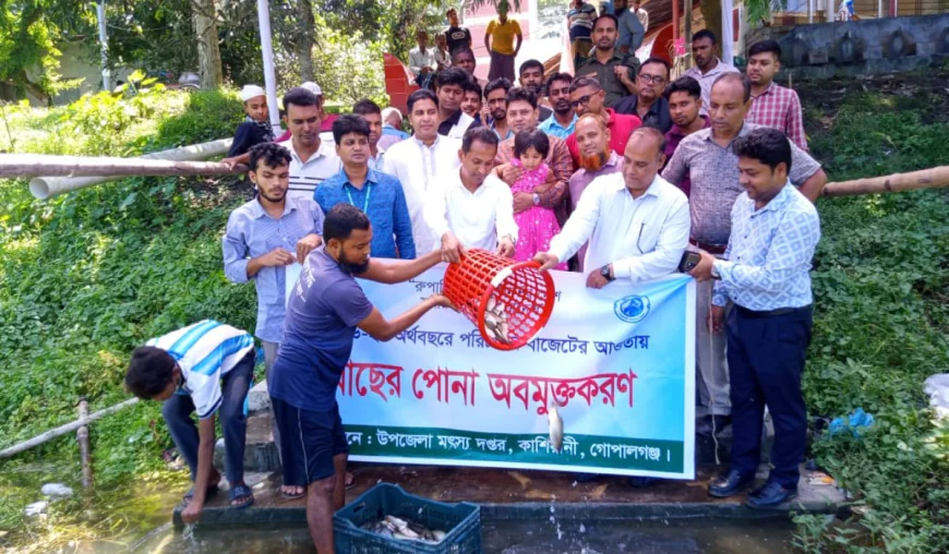 Fish fry released in 12 water bodies across Gopalganj