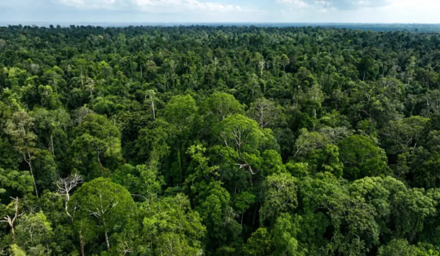 UK minister says green policies are good politics
