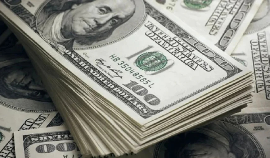 Remittance inflow rises 13.6pc to $8.02b through Sept 23 of FY26-27