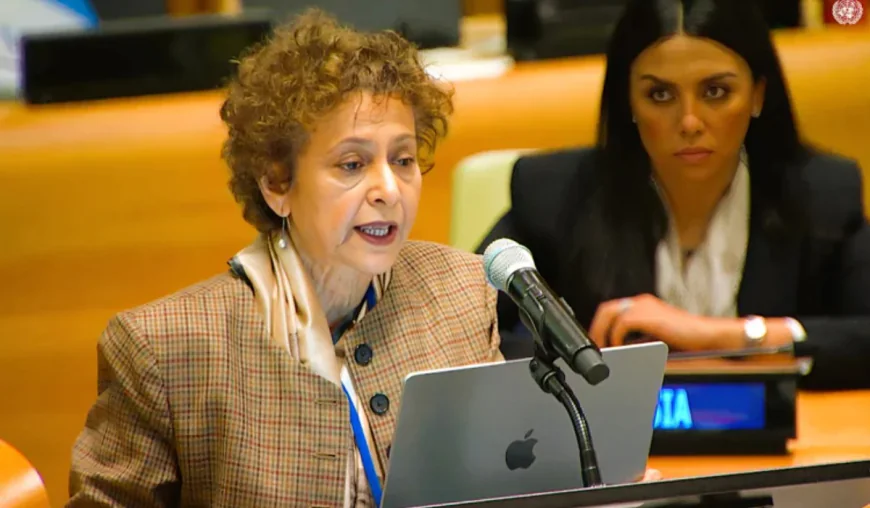 Human rights and equality must be upheld in AI development: Irene Khan