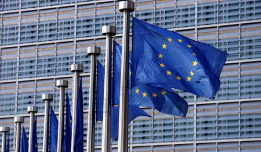 EU expresses full solidarity with Estonia over attack blamed on Russia: spokesman