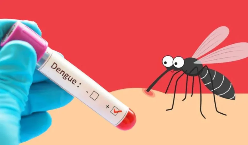 Khulna division reports 248 new dengue cases in 24 hours