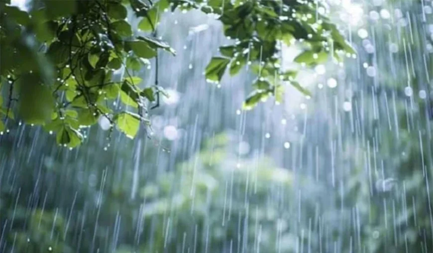 Rain likely in parts of the country