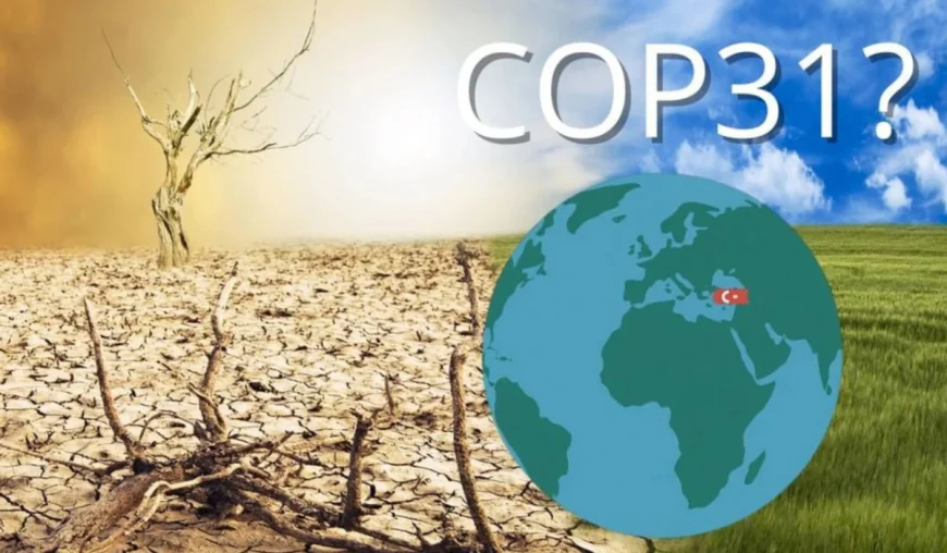 COP31 seeks modest progress amid growing climate disasters