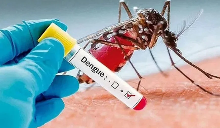 Health experts call for early dengue testing and timely treatment to prevent deaths