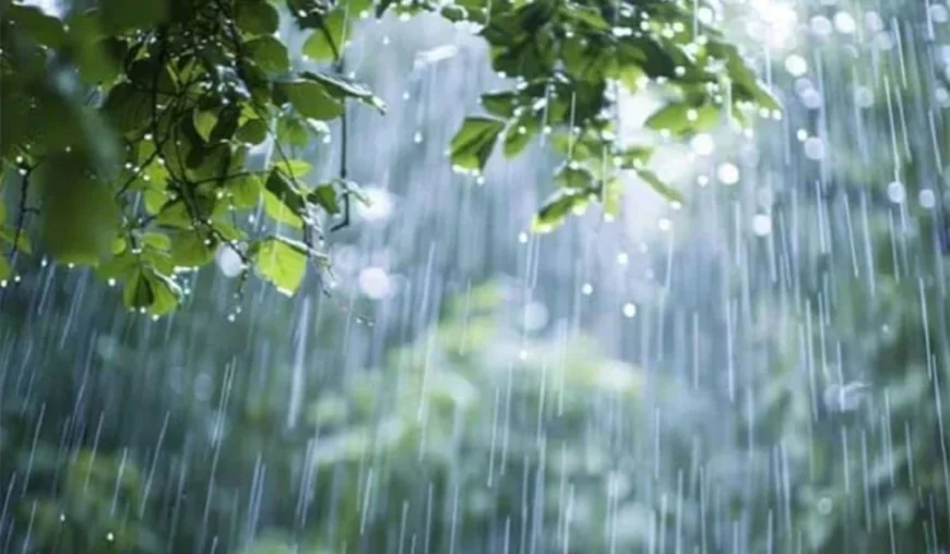 Rain likely in several parts of the country