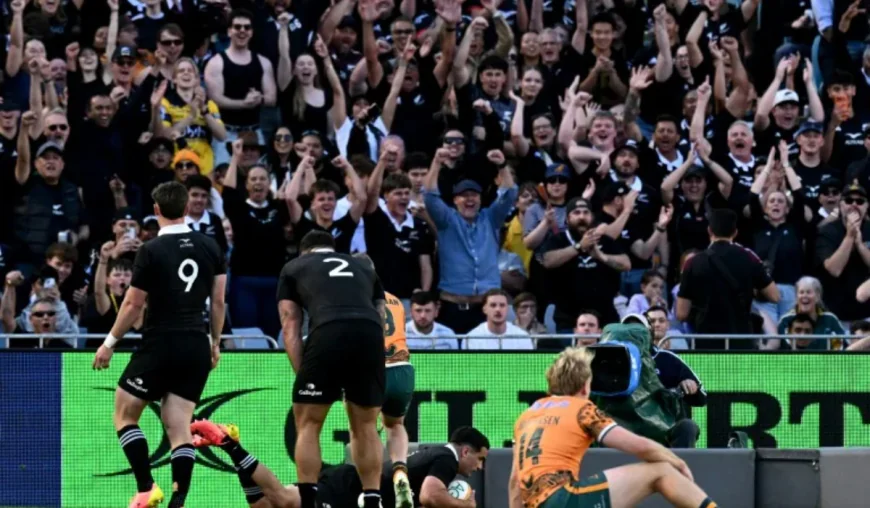 All Blacks regain form after South Africa defeat