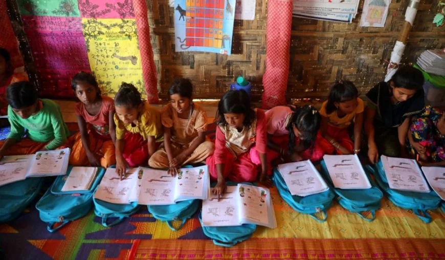 Rethinking primary education