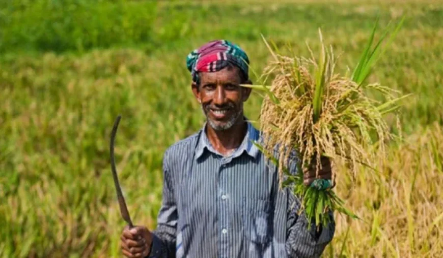 Agri loan waiver benefits 1.4 million farmers and boosts rural economy