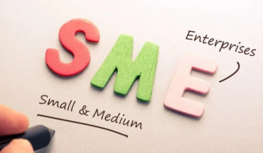 Green Transition Working Group launched to expand green financing for SMEs