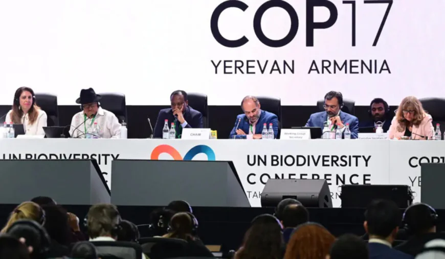 Nations pledge to put nature goals back on track